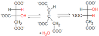 2. citrate – isocitrate