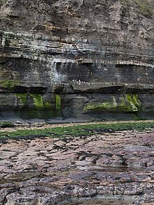 Seams of the Cleveland Ironstone formation well exposed on the coast at Jet Wyke. The Avicula seam forms the rock platform. Above it come the Raisdale, Two Foot, Pecten (5 thin bands) and Main seams Cleveland Ironstone - geograph.org.uk - 437885.jpg