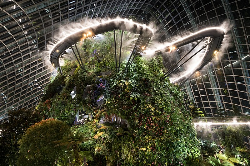 File:Cloud Forest at Night.jpg