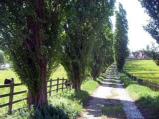 <span class="mw-page-title-main">College Farm</span> Farm in London, England