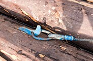 English: Detail of a (timber) raft at the landing on the river Loisach (Wolfratshausen). A hook and a steel wire rope holding the logs together. Deutsch: Detail eines Holzfloßes an der Ablegestelle auf der Loisach (Wolfratshausen). Ein Haken und Stahlseil um die Stämme zusammenzhalten.