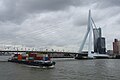 Container ship passing under the Erasmus Bridge @ Harbour Tour @ Spido @ Rotterdam (30267548430).jpg
