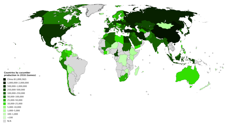 File:Countries by cucumber production in 2016.png