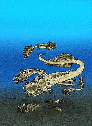 <i>Cowralepis</i> Extinct genus of fishes