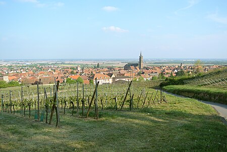 Dambach la Ville plain Alsace