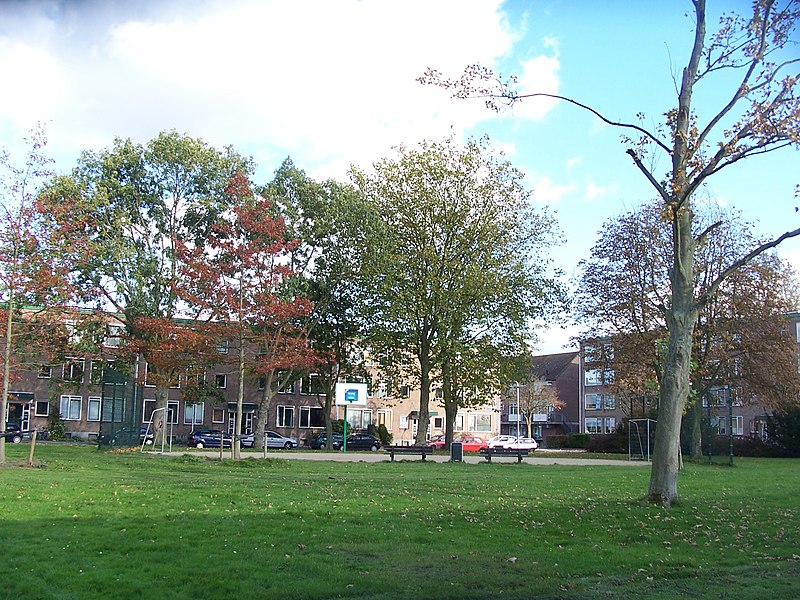 File:Delft - Schrobbelaarstraat - panoramio.jpg