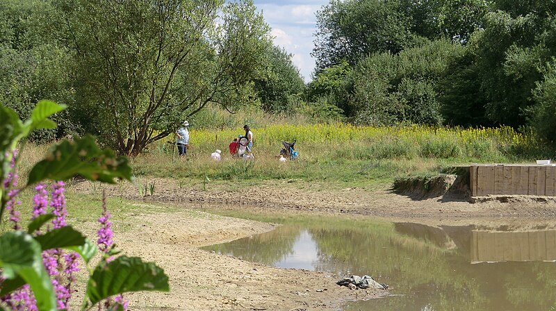 File:Dipping pond Broadhurst Clough.JPG