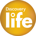 Discovery life logo.png