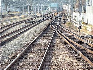 Train: Histoire, Le système ferroviaire, Différents types de trains