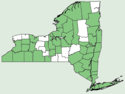 Echium vulgare NY-dist-map.png