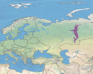 Teritoriul ecoregiunii (în mov)