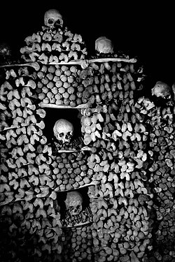 Skulls and bones in the Ossuary of Eggenburg, Austria