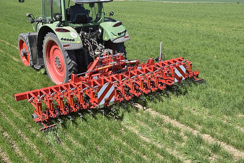 File:Einböck Chopstar Hackgerät Row-crop cultivator Bineuse 004.jpg