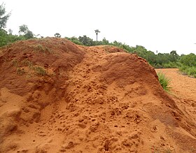 Erramatti Dibbalu (Red Sand Hills) en Visakhapatnam 01.JPG