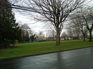 Essex Park.jpg