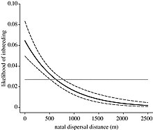 The likelihood of mating with kin decreases with respect to natal dispersal distance (m). The bold line shows the fitted values where natal dispersal distance was fitted as a predictor to inbreeding (f>=0.03125); dashed lines show the 95% confidence interval for the fit. The horizontal line represents the overall population average likelihood of inbreeding. F3.large.jpg