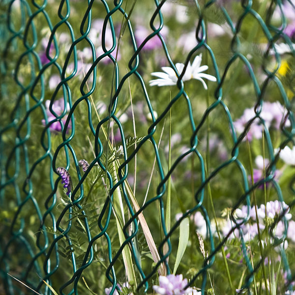 File:Fenced Flowers (2686061004).jpg