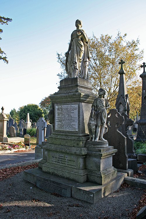 Fenian Plot, Glasnevin, Dublin