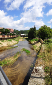 Fiumara Ancinale a Serra San Bruno (15 agosto 2020)