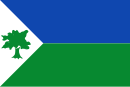 Bandeira de Cogua