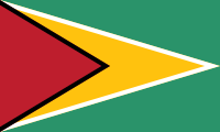 Guyanas nationsflagga