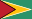 Guyana.svg의 국기