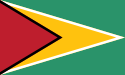 Guyana – Bandiera