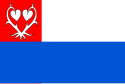 Nové Město nad Metují - Drapeau