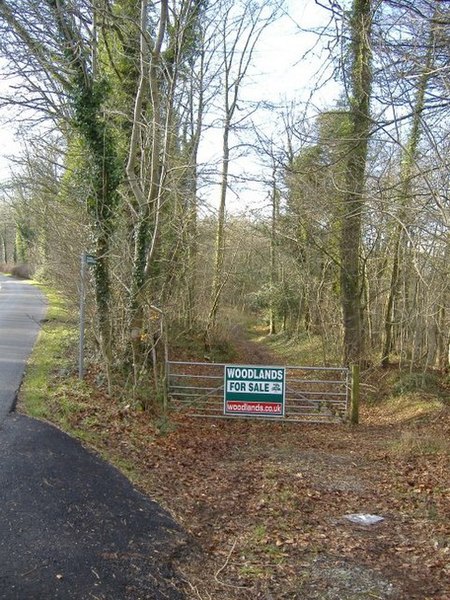 File:Folly Wood - geograph.org.uk - 321183.jpg