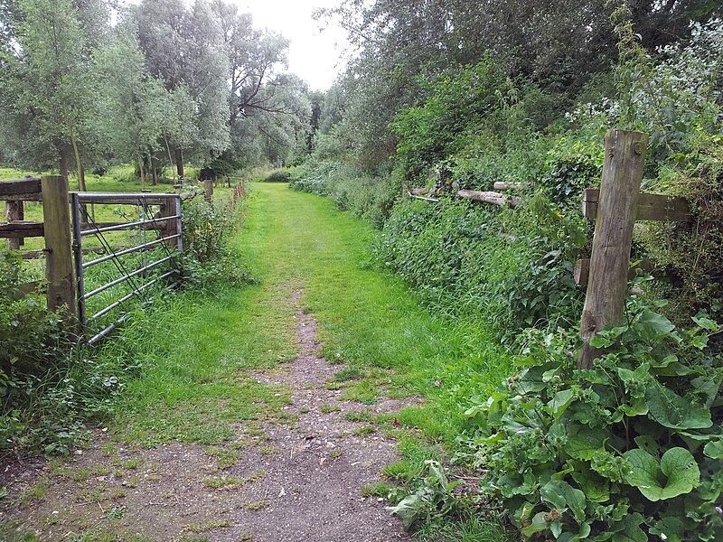 File:Footpath by the River Stour, Sudbury - geograph.org.uk - 3068395.jpg