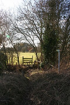 Footpath to the manor - geograph.org.uk - 1148149.jpg