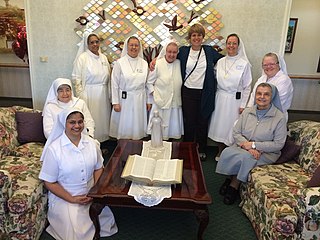 <span class="mw-page-title-main">Franciscan Hospitaller Sisters of the Immaculate Conception</span> Catholic religious institute