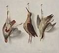 Francois Xavier Joseph Jacquin - Trompe l’oeil still life of a partridge, woodcock and spotted woodpecker hanging from nails against a white-washed wall.jpg