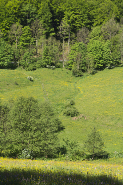 File:Gersfeld Sandberg Obernhausen SCI 555578052 Fulda Stream.png