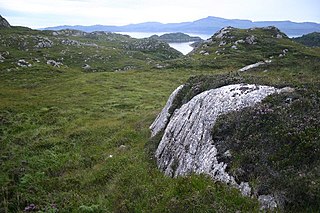 Basement (geology) Metamorphic or igneous rocks below a sedimentary platform or cover