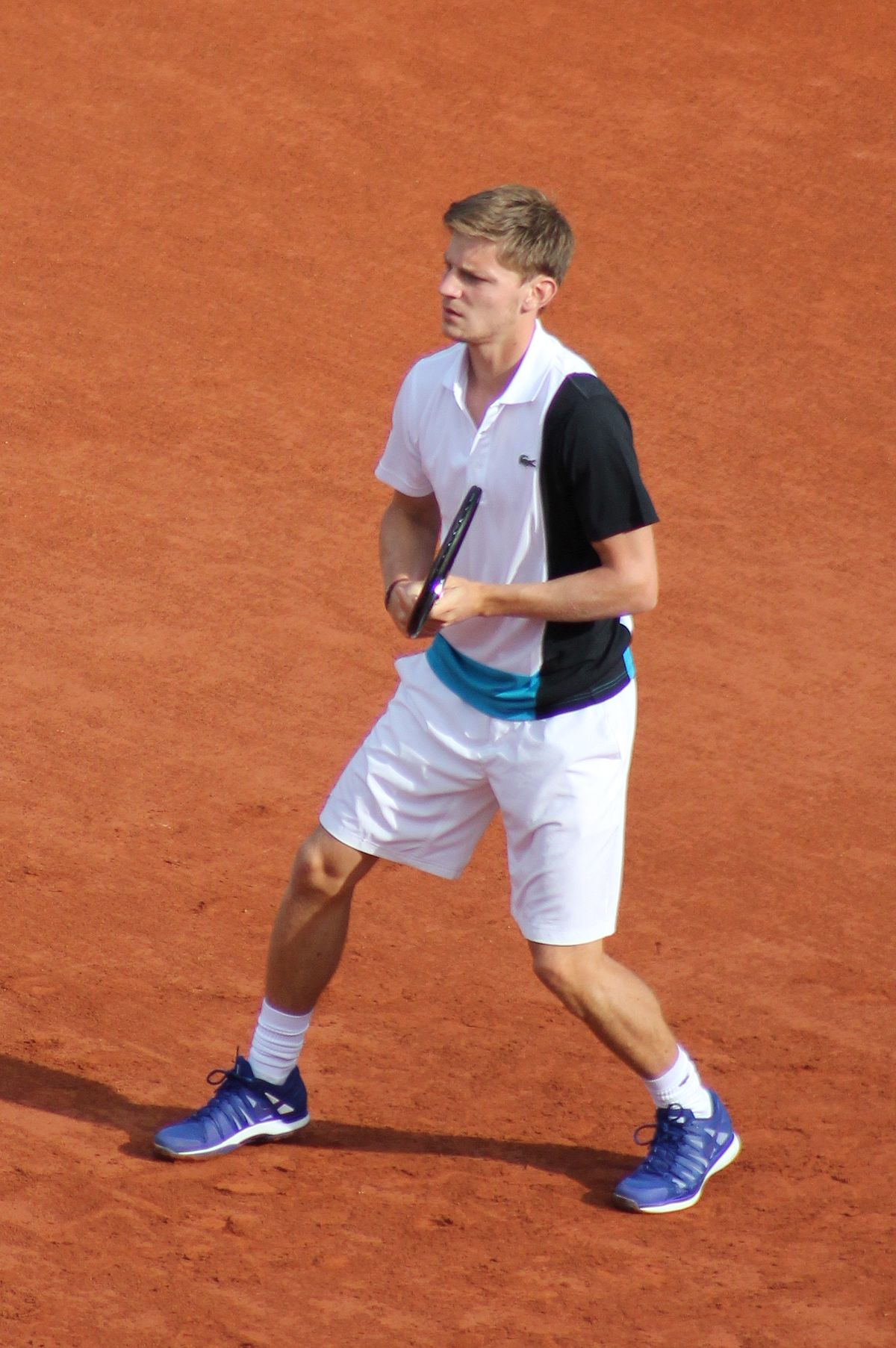 David Goffin - Wikipedia