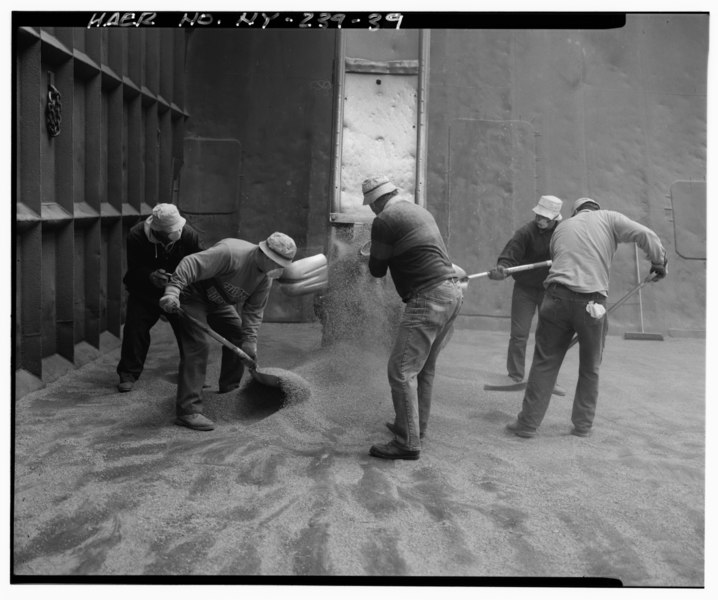 File:Grain off-loading procedure, workmen using hand shovels and push brooms to load marine leg during final stages of off loading - Buffalo Grain Elevators, Buffalo, Erie County, NY HAER NY,15-BUF,27-39.tif
