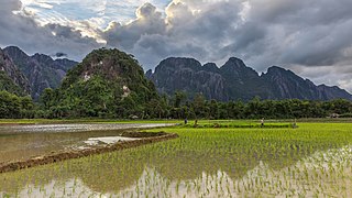 Green paddy fields and karst mountains at sunset with clouds in Vang Vieng Laos.jpg