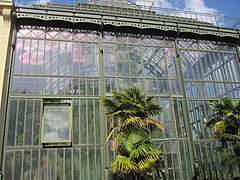 Greenhouse inside the Jardin des Plantes 2.jpg