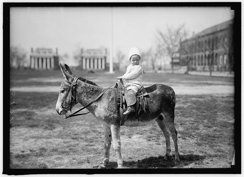 File:HODGES, JOHN. INFANT. ON DONKEY AT WASHINGTON BARRACKS LCCN2016866304.jpg