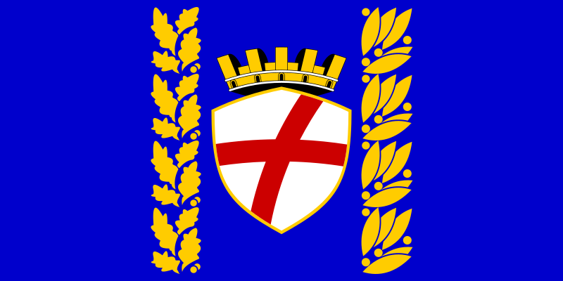 File:HRV Rovinj flag.svg