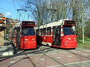 Trams from The Hague