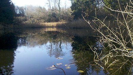 Hausstätter Weiher