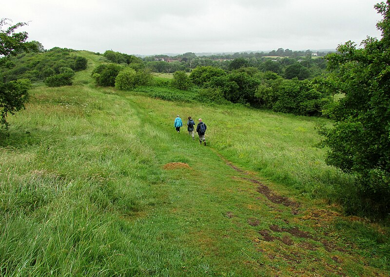 File:Heart of England Way approaching Beaudesert Castle - geograph.org.uk - 5536935.jpg