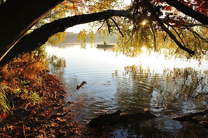 File:Herbststimmung am Straussee.jpg