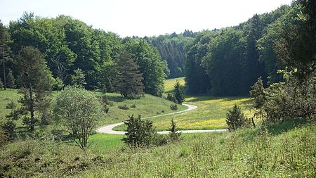 Hohenstein Naturschutzgebiet Bauenofen