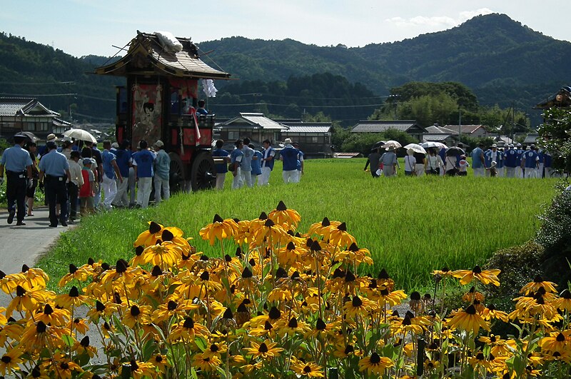 File:Hohokabe-jinja Festival 波々伯部神社 8月第1土・日曜日（旧暦6月14日）例祭「おやま行事」DSCF4717.jpg