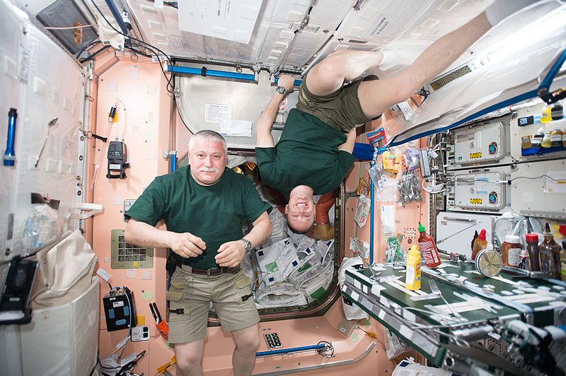 File:ISS-51 Fyodor Yurchikhin and Jack Fischer take a break in the Unity module.jpg