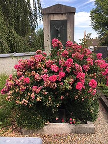 Grab von Ignatius Taschner in Dachau-Mitterndorf