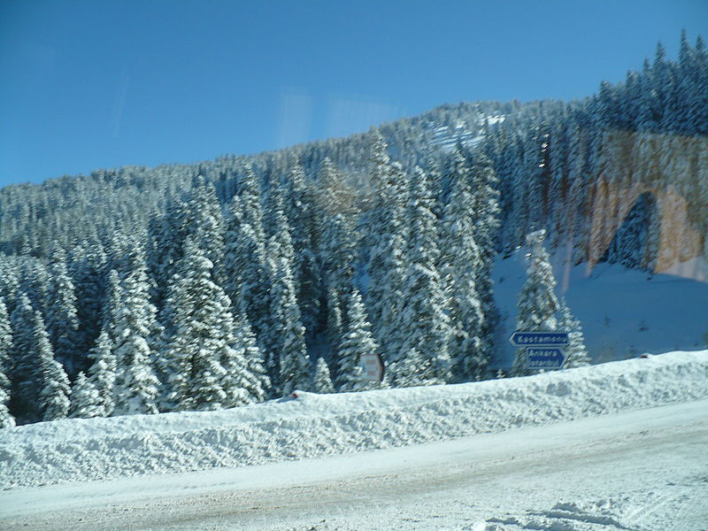 File:Ilgaz 33.JPG